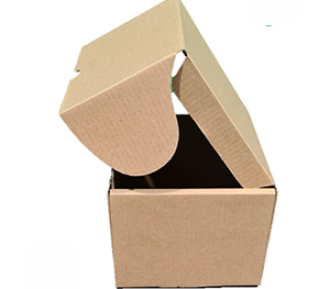 0.5-KG-E-Commerce-Box-pic-part-2-