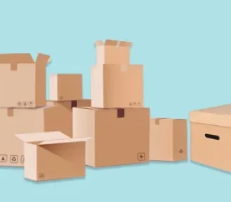 Cartons-2