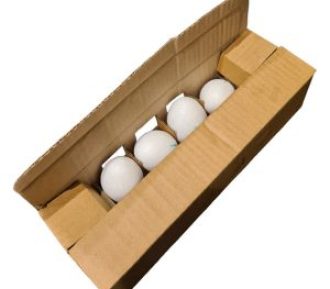 egg-box-12-1-300x300